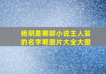 杨明是哪部小说主人翁的名字呢图片大全大图