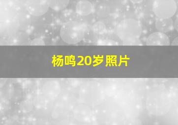 杨鸣20岁照片