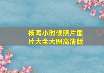 杨鸣小时候照片图片大全大图高清版