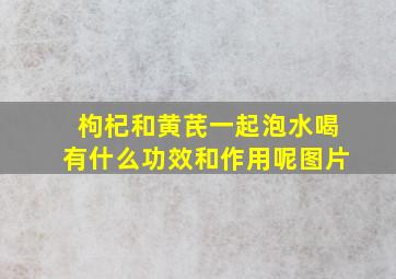 枸杞和黄芪一起泡水喝有什么功效和作用呢图片