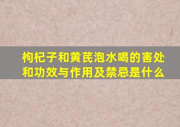 枸杞子和黄芪泡水喝的害处和功效与作用及禁忌是什么