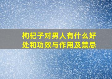 枸杞子对男人有什么好处和功效与作用及禁忌