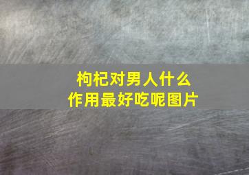 枸杞对男人什么作用最好吃呢图片