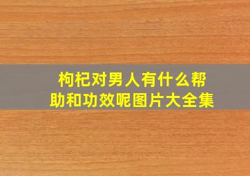 枸杞对男人有什么帮助和功效呢图片大全集