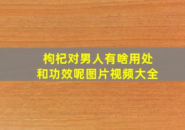 枸杞对男人有啥用处和功效呢图片视频大全