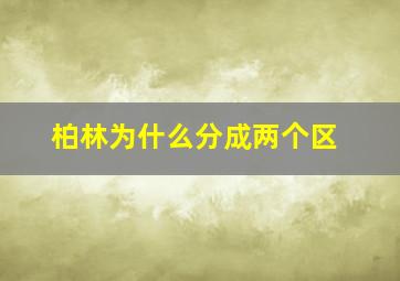 柏林为什么分成两个区