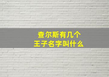 查尔斯有几个王子名字叫什么