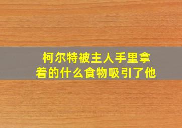 柯尔特被主人手里拿着的什么食物吸引了他