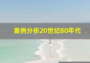 案例分析20世纪80年代