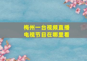 梅州一台视频直播电视节目在哪里看