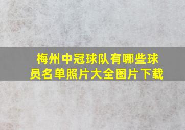 梅州中冠球队有哪些球员名单照片大全图片下载