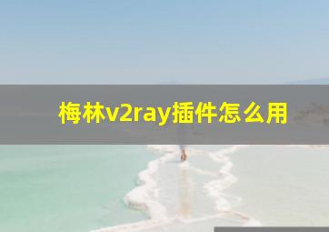 梅林v2ray插件怎么用