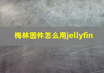 梅林固件怎么用jellyfin