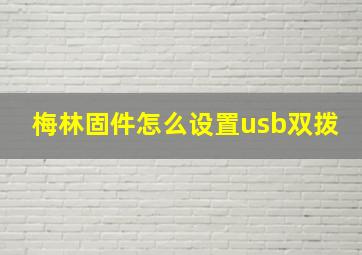 梅林固件怎么设置usb双拨