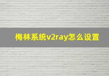 梅林系统v2ray怎么设置