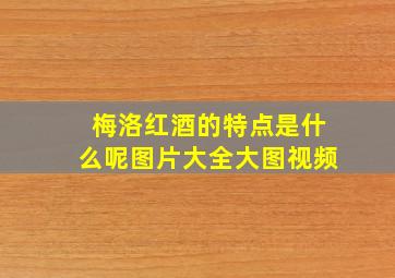 梅洛红酒的特点是什么呢图片大全大图视频