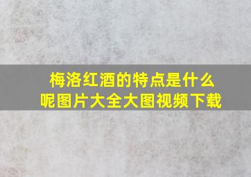 梅洛红酒的特点是什么呢图片大全大图视频下载