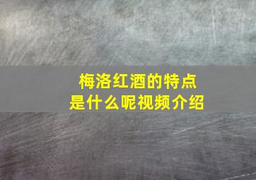 梅洛红酒的特点是什么呢视频介绍