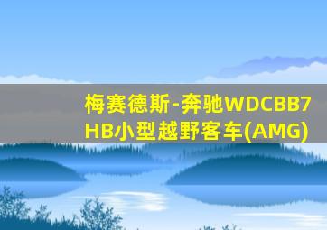 梅赛德斯-奔驰WDCBB7HB小型越野客车(AMG)