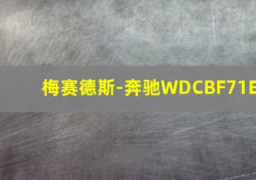 梅赛德斯-奔驰WDCBF71E