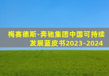 梅赛德斯-奔驰集团中国可持续发展蓝皮书2023-2024