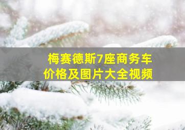 梅赛德斯7座商务车价格及图片大全视频