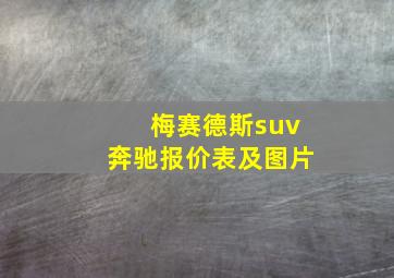 梅赛德斯suv奔驰报价表及图片