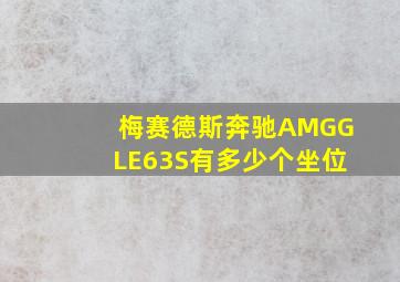 梅赛德斯奔驰AMGGLE63S有多少个坐位