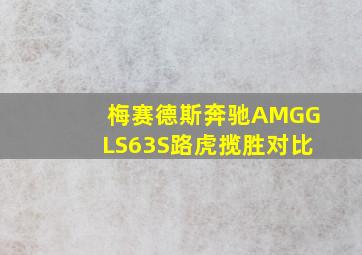 梅赛德斯奔驰AMGGLS63S路虎揽胜对比