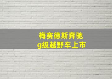 梅赛德斯奔驰g级越野车上市