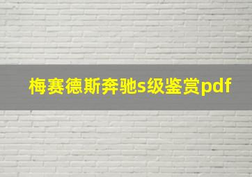 梅赛德斯奔驰s级鉴赏pdf