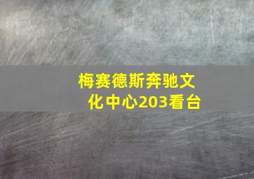 梅赛德斯奔驰文化中心203看台