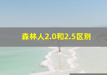 森林人2.0和2.5区别