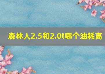 森林人2.5和2.0t哪个油耗高