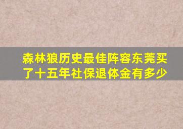 森林狼历史最佳阵容东莞买了十五年社保退体金有多少