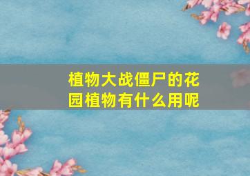 植物大战僵尸的花园植物有什么用呢