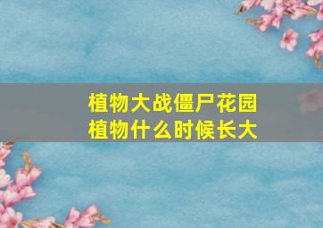 植物大战僵尸花园植物什么时候长大