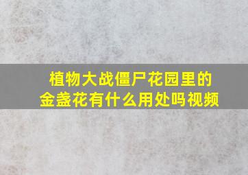 植物大战僵尸花园里的金盏花有什么用处吗视频