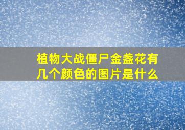 植物大战僵尸金盏花有几个颜色的图片是什么