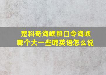 楚科奇海峡和白令海峡哪个大一些呢英语怎么说