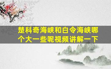 楚科奇海峡和白令海峡哪个大一些呢视频讲解一下