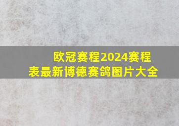 欧冠赛程2024赛程表最新博德赛鸽图片大全