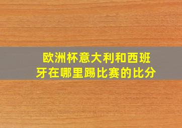 欧洲杯意大利和西班牙在哪里踢比赛的比分