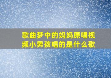 歌曲梦中的妈妈原唱视频小男孩唱的是什么歌