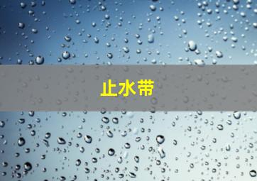 止水带