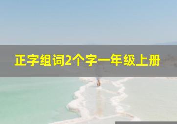 正字组词2个字一年级上册