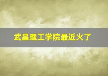 武昌理工学院最近火了