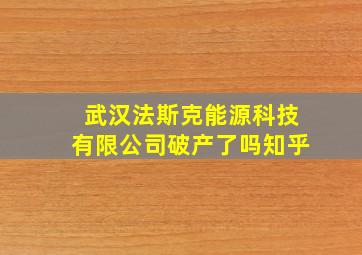 武汉法斯克能源科技有限公司破产了吗知乎