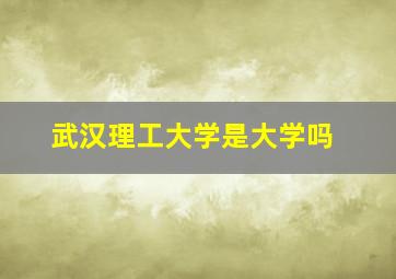 武汉理工大学是大学吗