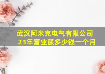 武汉阿米克电气有限公司23年营业额多少钱一个月